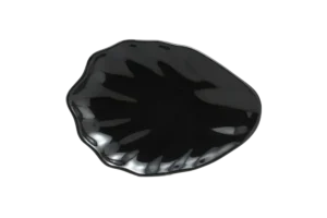 פלטה הולי 21.5*15.2*2.8 מלמין שחור***115209b