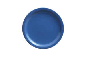 צלחת אקונומיק 19.2 מלמין כחול***120208bl