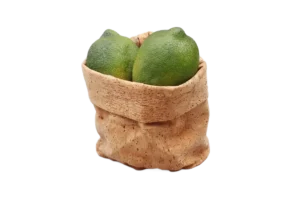 שק עגול דמוי שעם 13X15 לתצוגה***219405