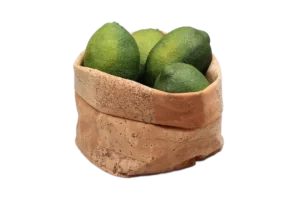 שק עגול דמוי שעם 17X15 לתצוגה***219407