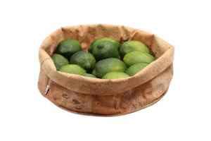 שק עגול דמוי שעם 32.5X12 לתצוגה***219513