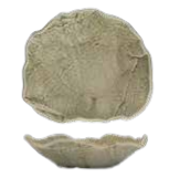 קערה פורצלן 18 ס"מ Gyoza Herbal ירוק NRI18CK855A45