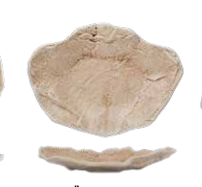 צלחת פורצלן 22 ס"מ Gyoza Mocarlo חום NRI22DU855A46