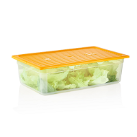 גסטרונום פלסטיק 1/1/100 PP