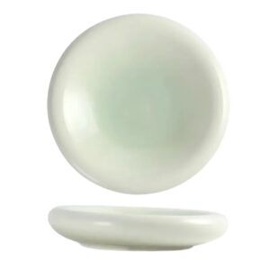 צלחת פורצלן 29/6.5 ס"מ GREEN