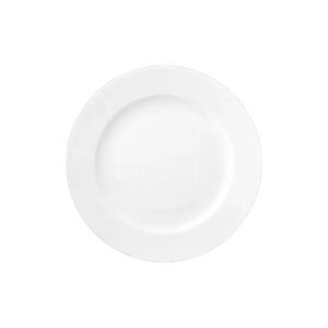 צלחת פורצלן D130DU00 - *DELTA 30 CM