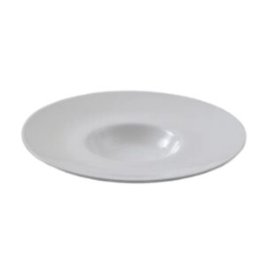 צלחת שקע קטן פורצלן 12-28 ס"מ 100A2806