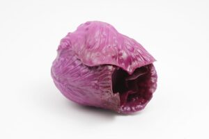 כרוב סגול לתצוגה (ליחידה)***560202