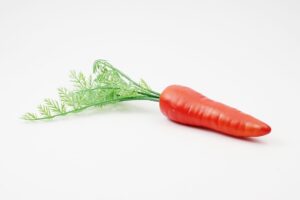 גזר לתצוגה (ליחידה)***560204