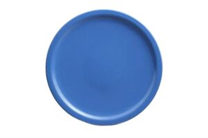 צלחת אקונומיק 25 מלמין כחול***120210bl