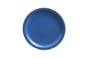 צלחת אקונומיק 19.2 מלמין כחול***120208bl