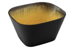 גסטרונום 1/6-100 קפסול חרדל/שחור מלמין***116816b26