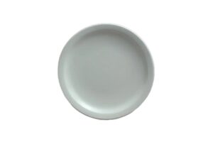 צלחת אקונומיק 16.8 מלמין לבן***120207