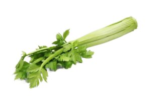 סלרי לתצוגה (ליחידה)***560203