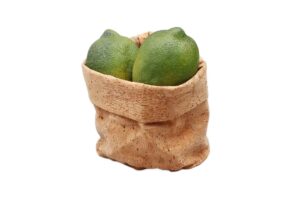 שק עגול דמוי שעם 13X15 לתצוגה***219405