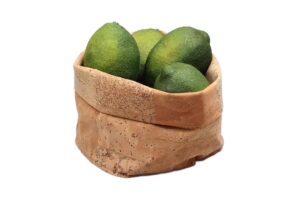 שק עגול דמוי שעם 17X15 לתצוגה***219407