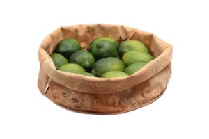 שק עגול דמוי שעם 32.5X12 לתצוגה***219513