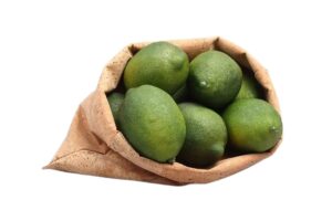 שק דמוי שעם 1/3 GN לתצוגה***219613