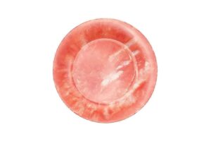 צלחת 22.5 ס"מ קלאודי אדום מלמין***122909RI