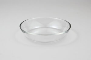 צלוחית 14 דירקטור שקוף***g2484